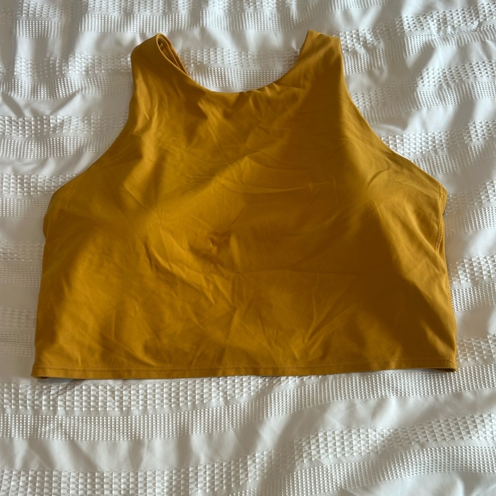 Athleta Conscious Crop D-DD+ Size XL